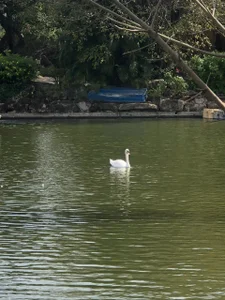 Candy_Sweetie_Have you ever been to Nha Trang?图片 2