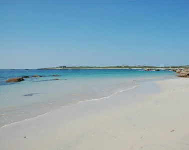 samson2012のdomaの枚の写真