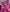 GwenHastey's photo