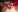 Irenea's photo