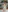 AliceLebel's photo