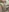 Assodispade3's photo