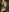 baby_brownie's photo