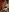 Shayk_murlisha's photo