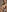 adam-tessa-morel's photo