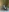 Caotica_'s photo