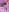 HardcoreHentai's photo