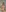 titty-cat's photo