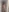 PHOTO SURPRISE numéro 5