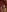 Anna_Lewis's photo