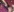 HairyEbonyCoupleliveporn's photo