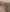 らんQuiz*第1問「こちらはどこでしょうか？」