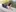 Couple-in-love's photo