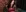 MarleneDietrich's photo