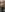 Golden__PollyX's photo