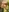 tessa_meow's photo