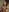Scarlet_03's photo