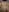 SZucaT's photo