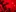 Red room