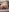 Exclusive content
