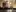 lbbushy81's photo