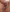 creamy pussy + asshole close to cam