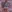 ReiyaRey's photo