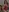 TiffanyWills's photo