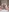 Amber-Blaze's photo