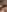 Titty /feet Teasers