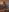 snowrillaxxx's photo