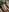 LaraHollywood's photo