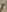creamyjuices01's photo
