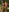hotty_girls_here's photo