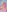 roseefancy19's photo