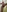Spicy naked pic in a toailet