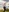 SahoryHorny's photo