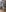 Exclusive bikini photos