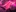 Neon goddess