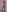 KmilleX's photo