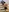 EvaKeks's photo
