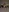 LexiVale's photo
