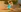 SunnySylvia's photo