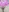 mature_double_penetration's photo