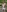public nudes