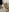 CateAllenson's photo