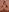 All naked