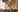 LolaWilsons's photo
