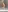 Boobshere-'s photo
