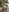 divine-jewel's photo